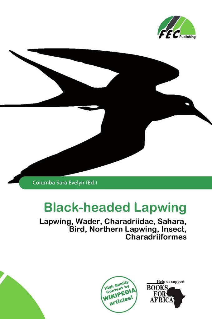 Black-headed Lapwing