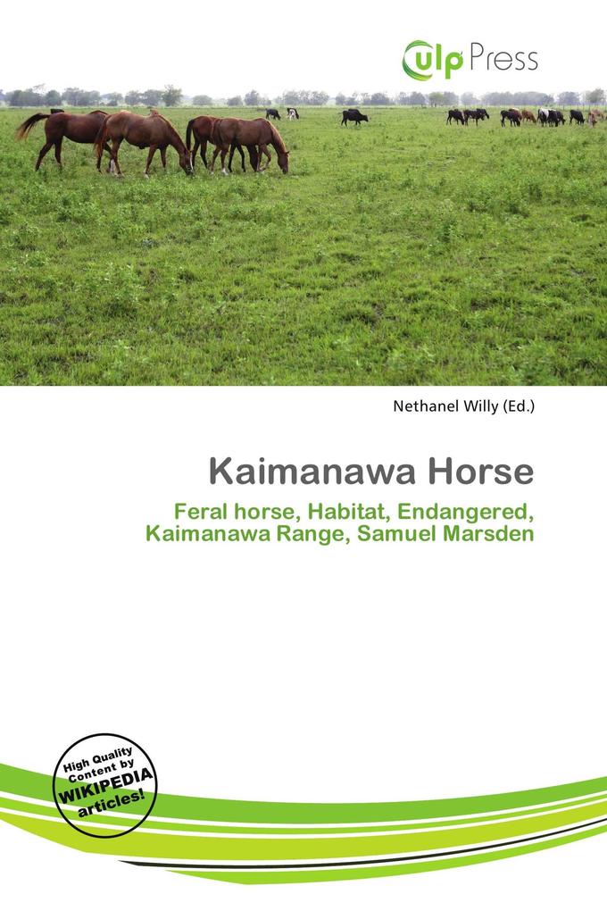 Kaimanawa Horse