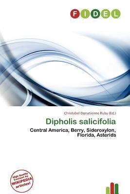 Dipholis salicifolia