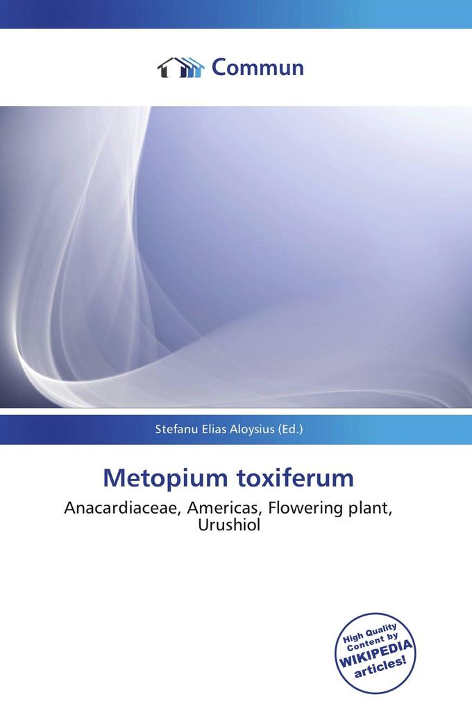 Metopium toxiferum