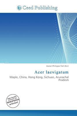 Acer laevigatum