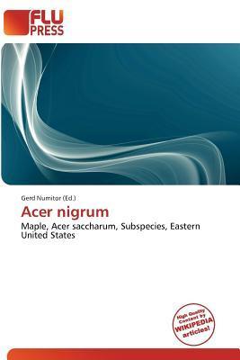 Acer nigrum