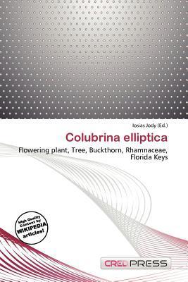 Colubrina elliptica