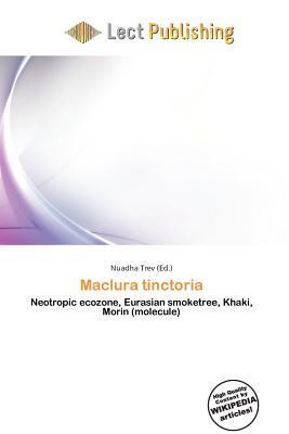 Maclura tinctoria