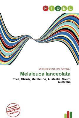 Melaleuca lanceolata