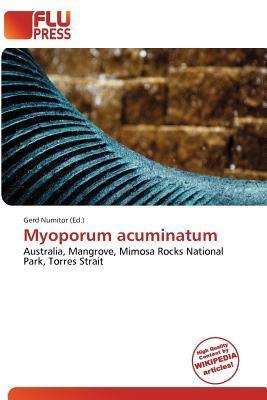 Myoporum acuminatum