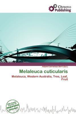 Melaleuca cuticularis