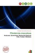 Flindersia maculosa