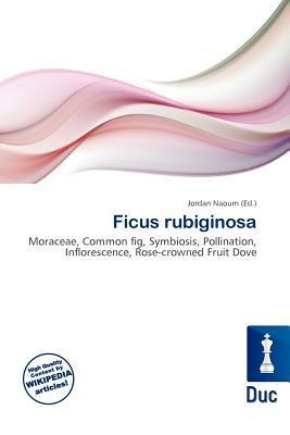 Ficus rubiginosa
