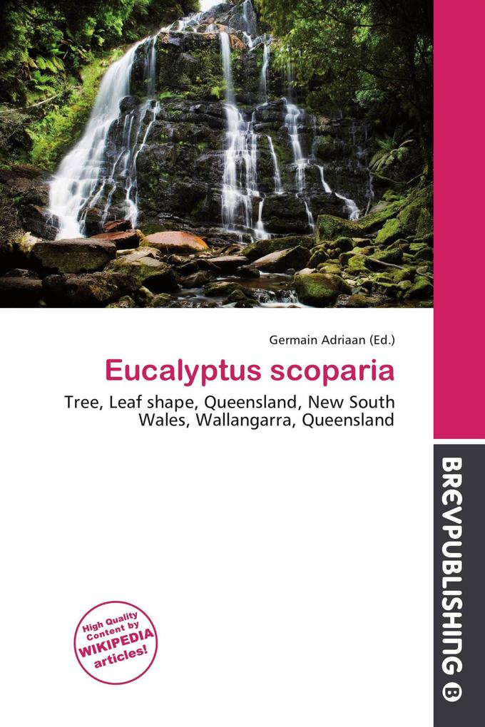 Eucalyptus scoparia