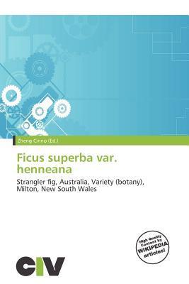 Ficus superba var. henneana