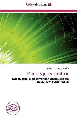 Eucalyptus umbra