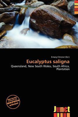Eucalyptus saligna