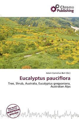 Eucalyptus pauciflora