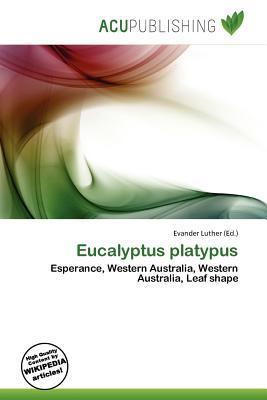 Eucalyptus platypus