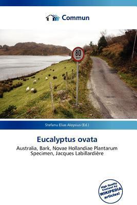 Eucalyptus ovata