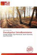 Eucalyptus lansdowneana