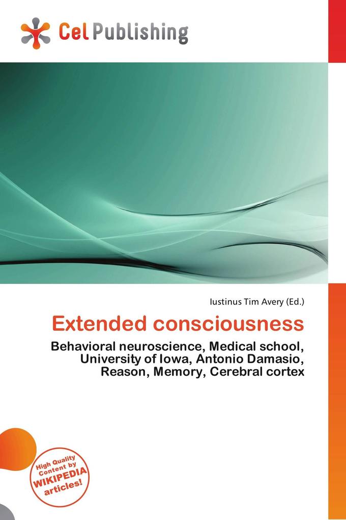 Extended consciousness