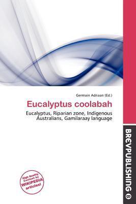 Eucalyptus coolabah