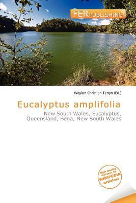 Eucalyptus amplifolia