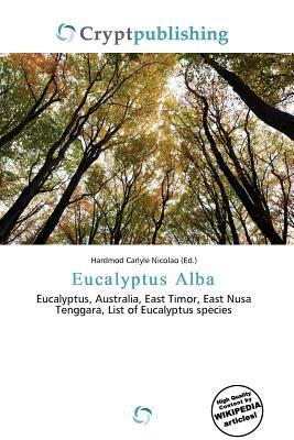 Eucalyptus Alba