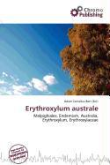 Erythroxylum australe