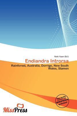 Endiandra Introrsa