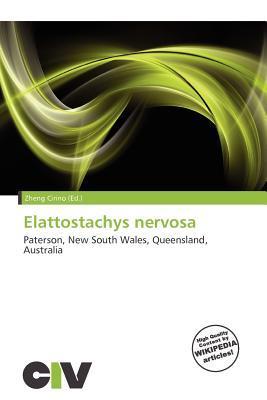 Elattostachys nervosa