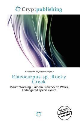 Elaeocarpus sp. Rocky Creek