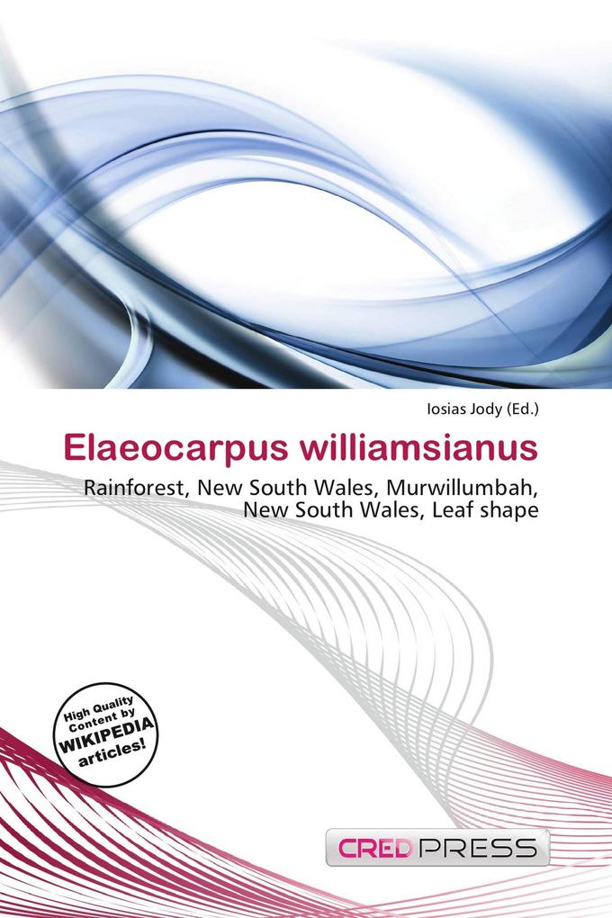 Elaeocarpus williamsianus
