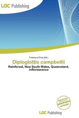 Diploglottis campbellii