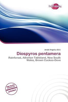 Diospyros pentamera