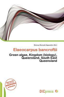 Elaeocarpus bancroftii