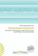 Cupaniopsis newmanii