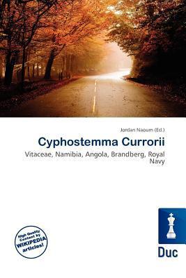 Cyphostemma Currorii