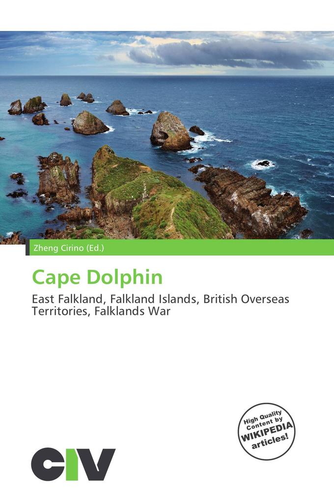 Cape Dolphin