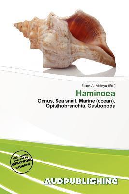 Haminoea