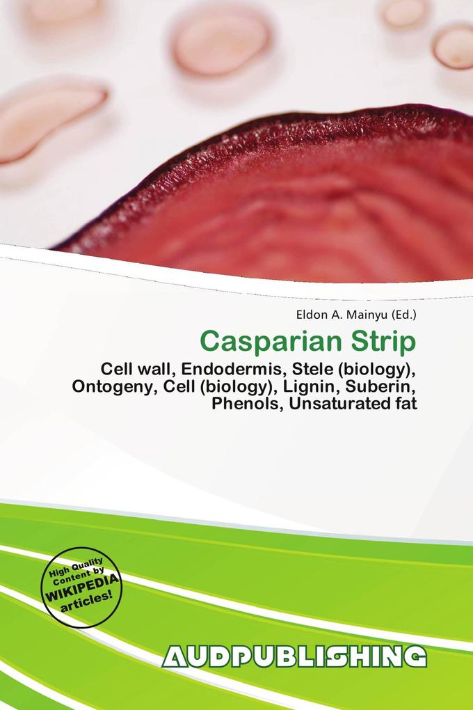 Casparian Strip