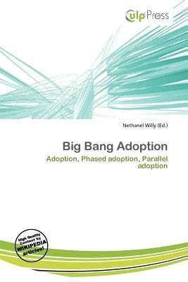 Big Bang Adoption