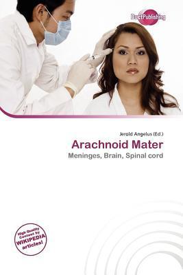 Arachnoid Mater