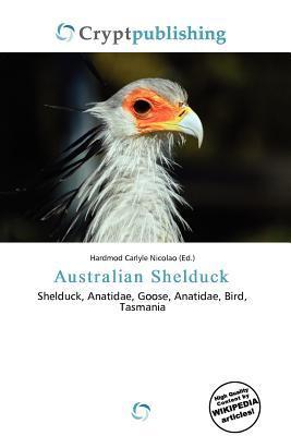 Australian Shelduck