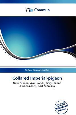 Collared Imperial-pigeon
