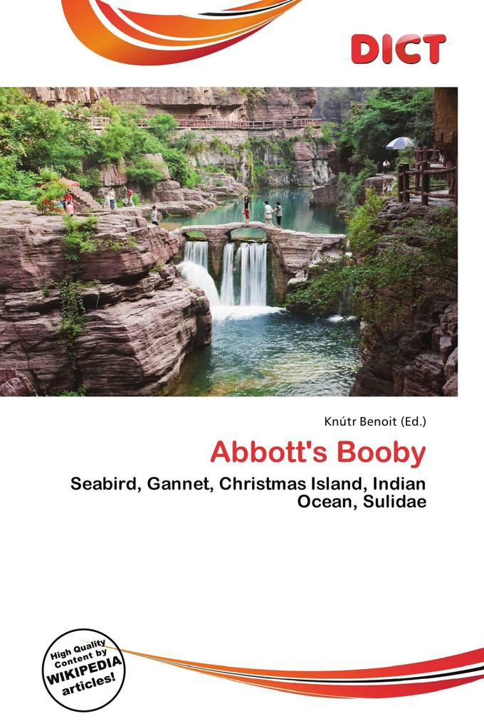 Abbott's Booby