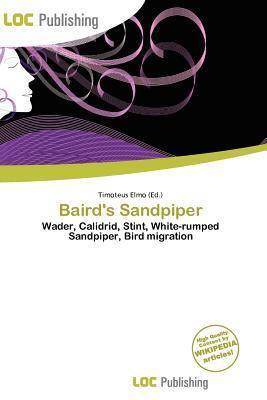 Baird's Sandpiper