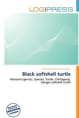 Black softshell turtle