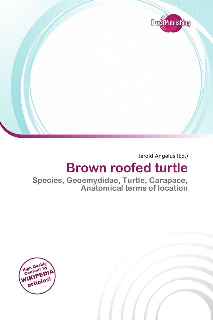 Brown roofed turtle