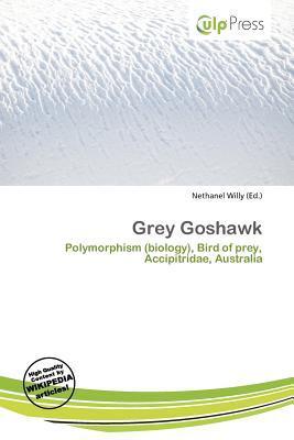 Grey Goshawk