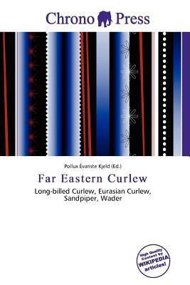 Far Eastern Curlew