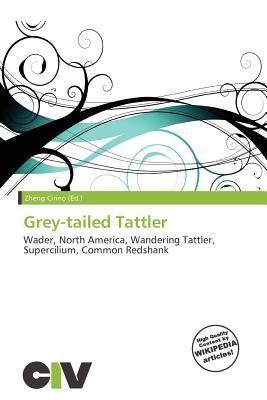 Grey-tailed Tattler