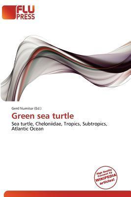 Green sea turtle